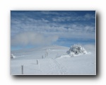 2010-02-21 Neige (19) Look up to Montoiseau